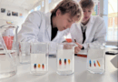 Starting the Year with Science in Action
