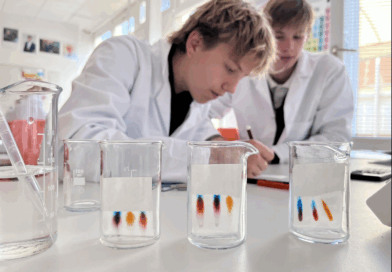 Starting the Year with Science in Action