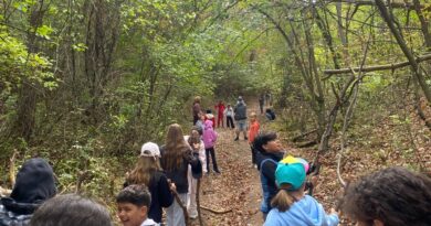 Year 5 Exploring the Outdoors