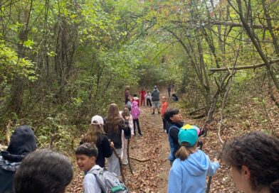 Year 5 Exploring the Outdoors