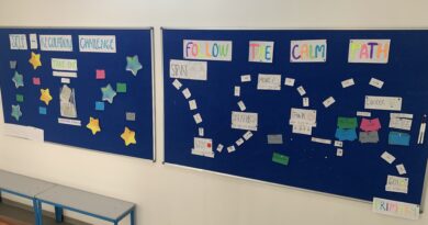 School-wide Activities on Self-Regulation