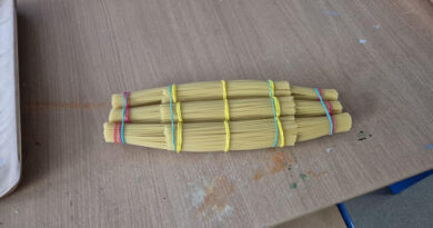 The Power of Spaghetti: Our Structure Holds 20.5 kg – Elly and Daniel Y11
