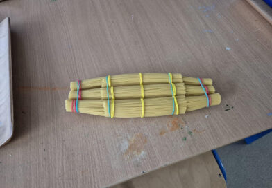The Power of Spaghetti: Our Structure Holds 20.5 kg – Elly and Daniel Y11